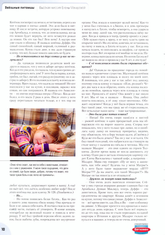 10-Moj-drug-koshka-2013-02