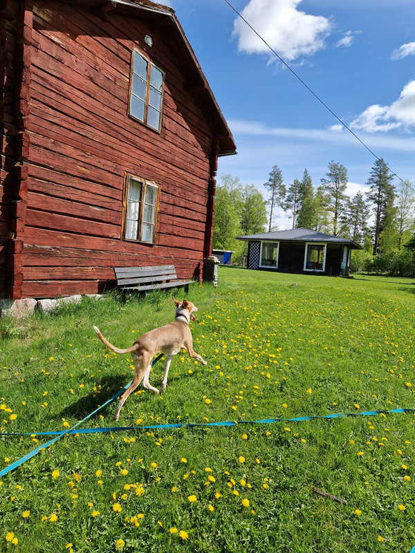 20230529_111748(0)