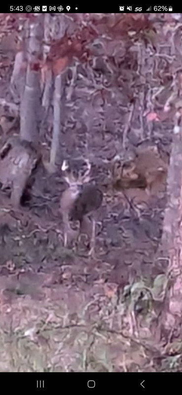 Screenshot_20241123_174303_Messages