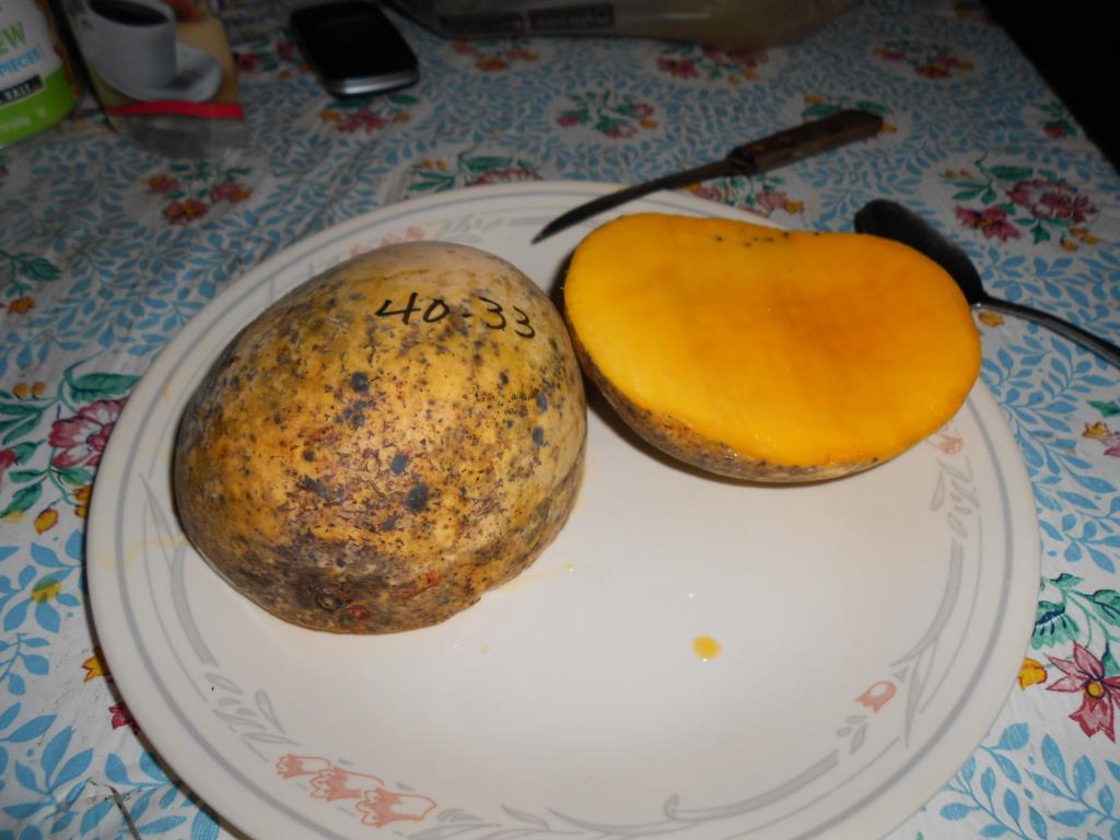 40-33 mango_Medium