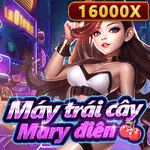 vn