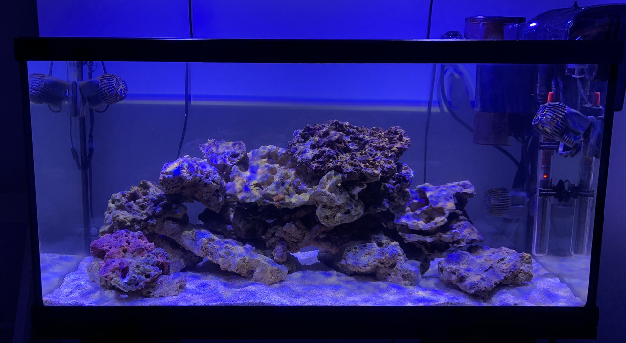 471EBA51-85A4-494E-B1BF-199CA613584B