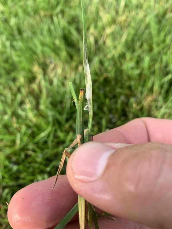 F1A265A1-F3C3-4BBC-B971-931BA2561334