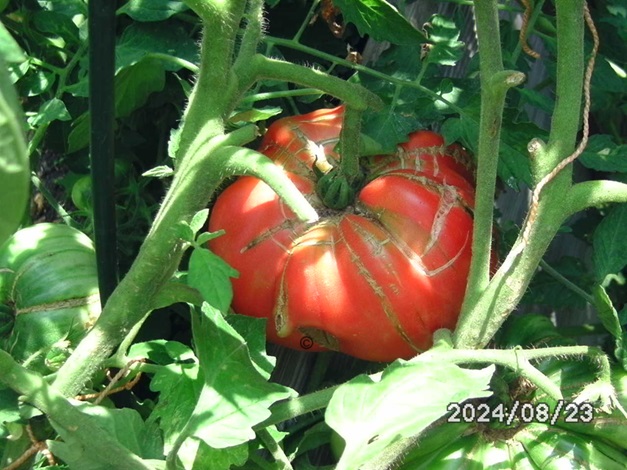 [Bild: BILD0343.jpg]