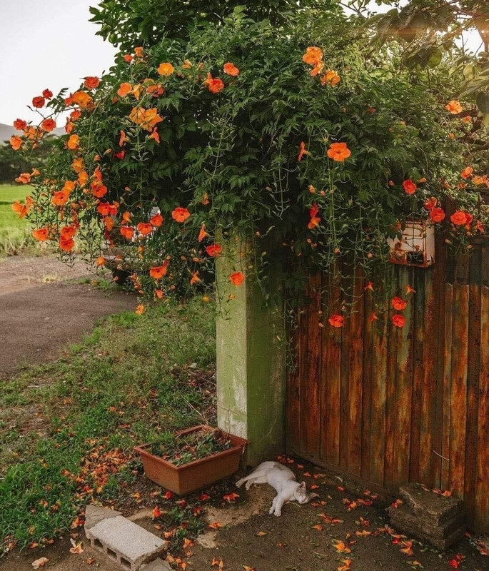 Screenshot_20240506_202331_Threads