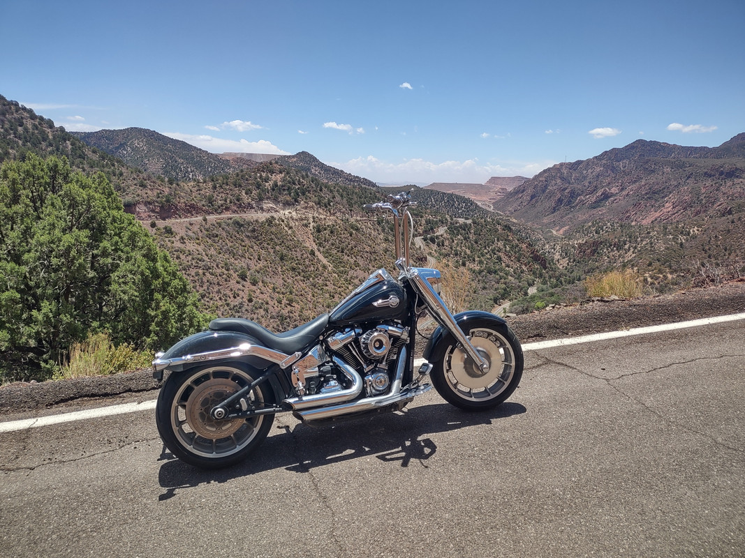 IMG_20250704_120232600_HDR