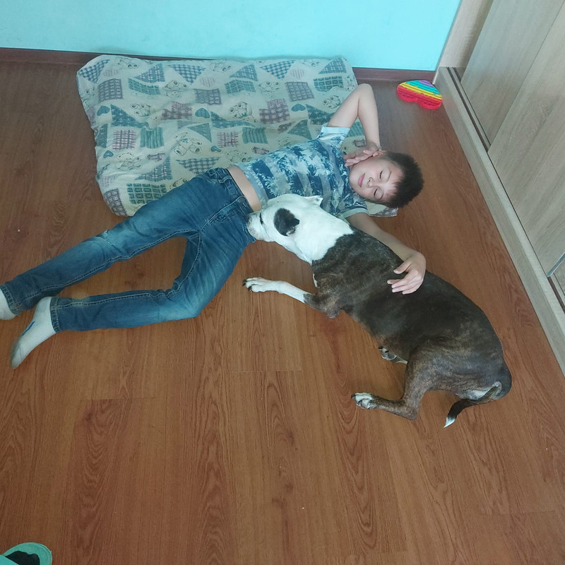 27BFF2DA-A81C-40C3-8623-2C3E2FA7186B