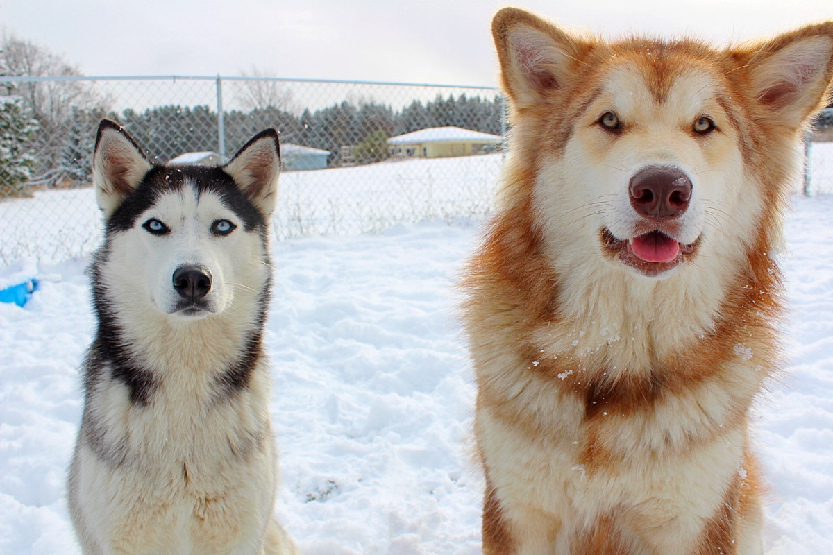 3FCA952A-F818-4224-92F0-21A73D8E1CB5