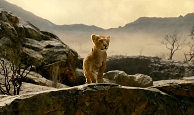 MUFASA-1-A-FOTOR.png