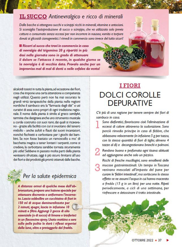 Sal Nat  Ott 2022 (6)