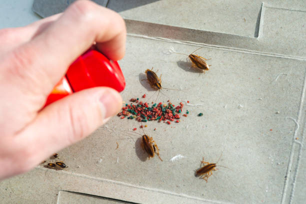 Pest control professional on a service visit in Baltimore
