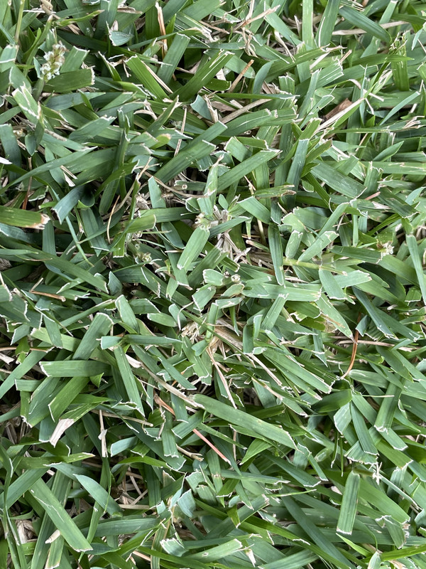 9C9FDA84-E459-4515-967C-FC977F083D69