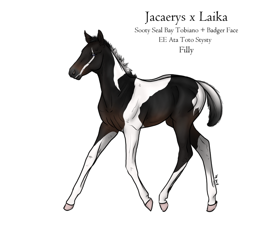 ara-filly.png
