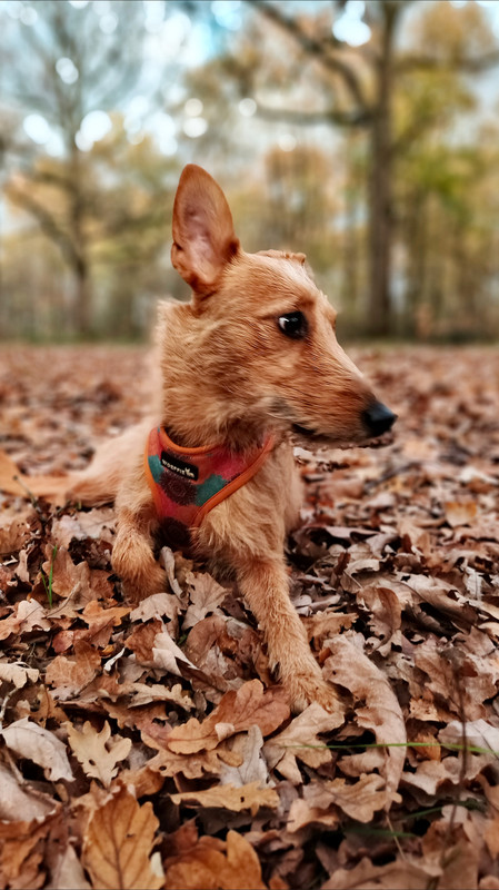 Lumii 20251108 154909126