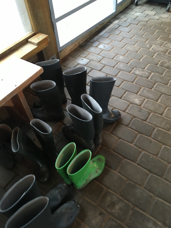 BC733F41-5307-433A-82E4-0FDBEA4D0C39