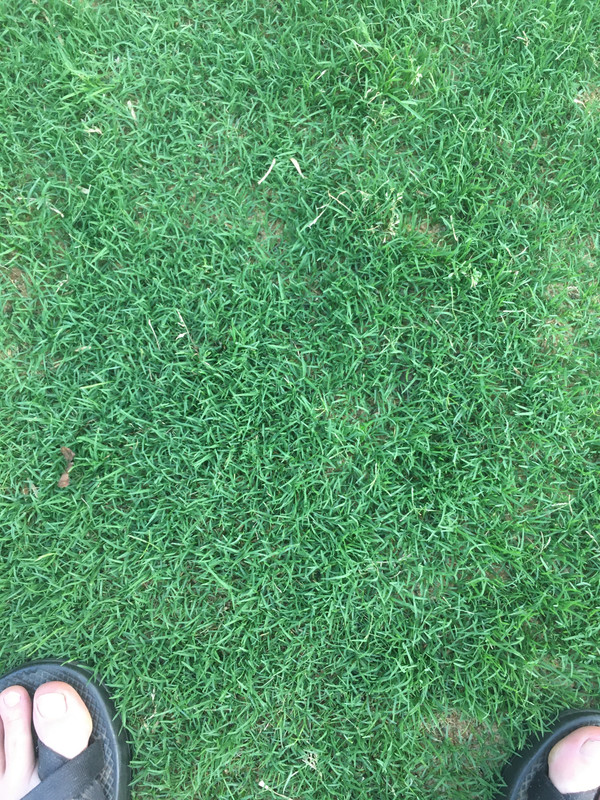 DF1E8596-C8CD-4BD5-95CD-13BBE86ADA81