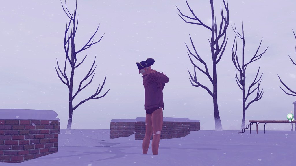 TS3W_2025-01-27_03-16-03.jpg