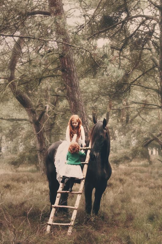 ���� ���� ������ �� ���� ������