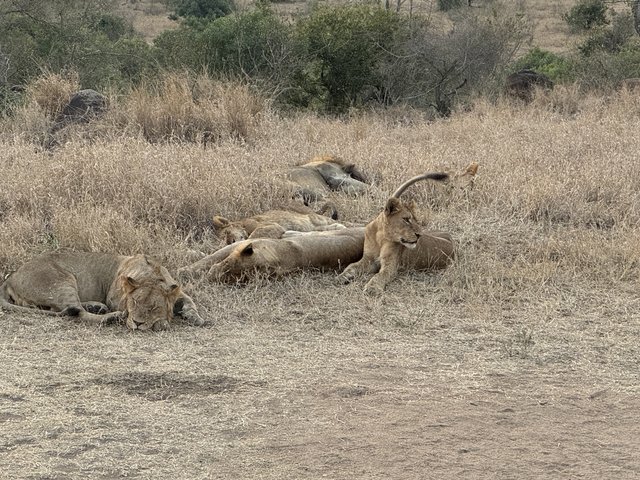 [Linked Image from i.postimg.cc]