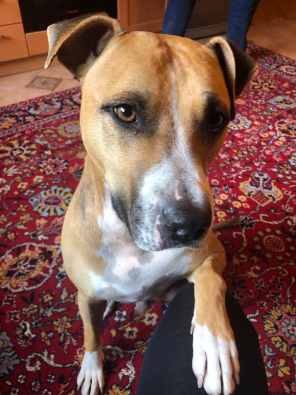 01984726-41F5-4ACF-9B44-75F47678762F