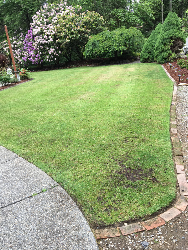 D181E6CC-DF63-4283-8C79-9C87DBE7A1EB