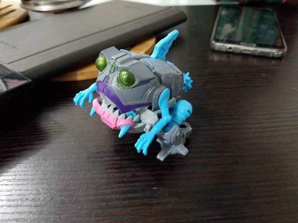 14690979_1129528030466938_1297111339514677148_n