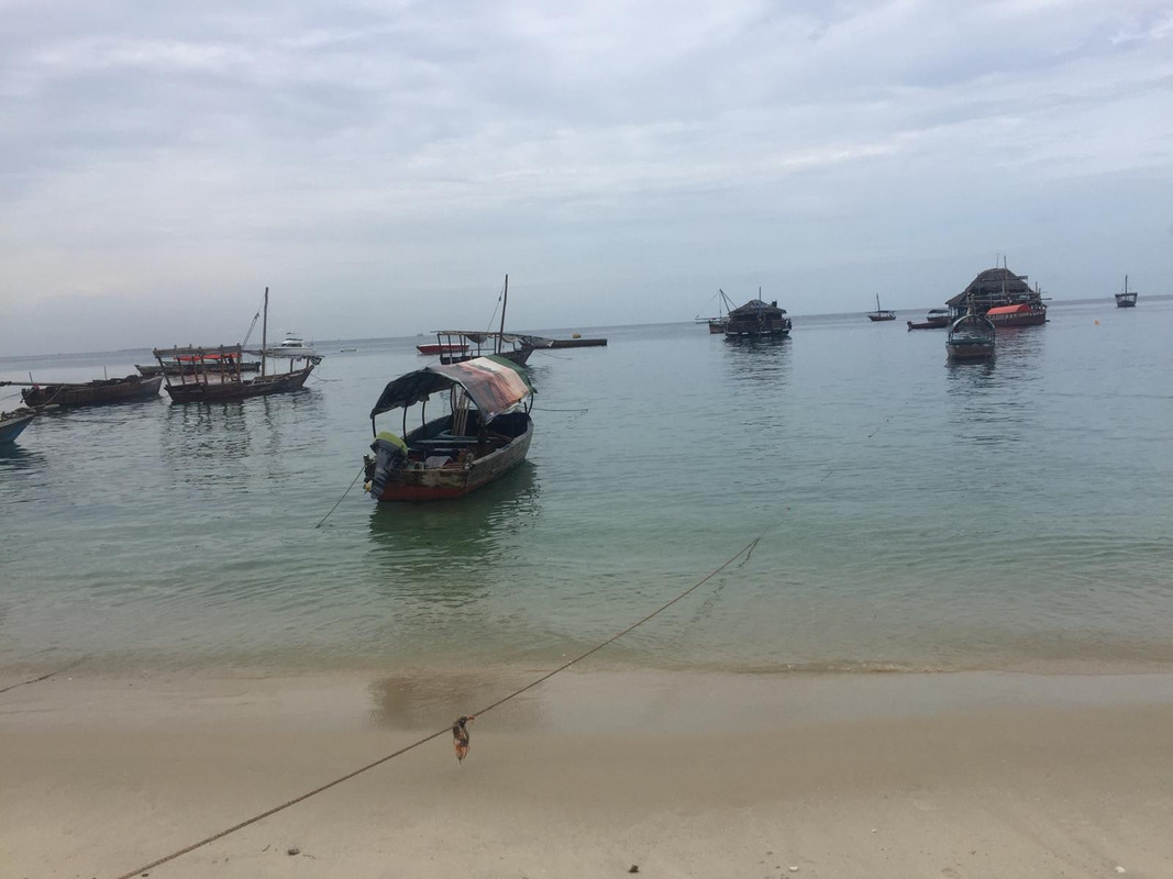 WhatsApp Image 2018-04-03 at 13.31.54(1)