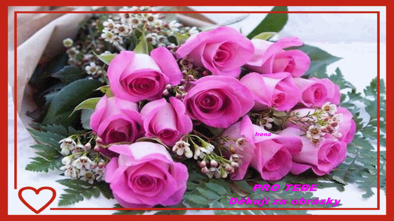 DE313dafb3c8cdaca9