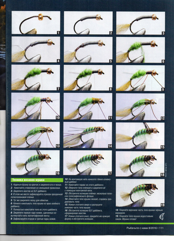 VIZ CADDIS (2)
