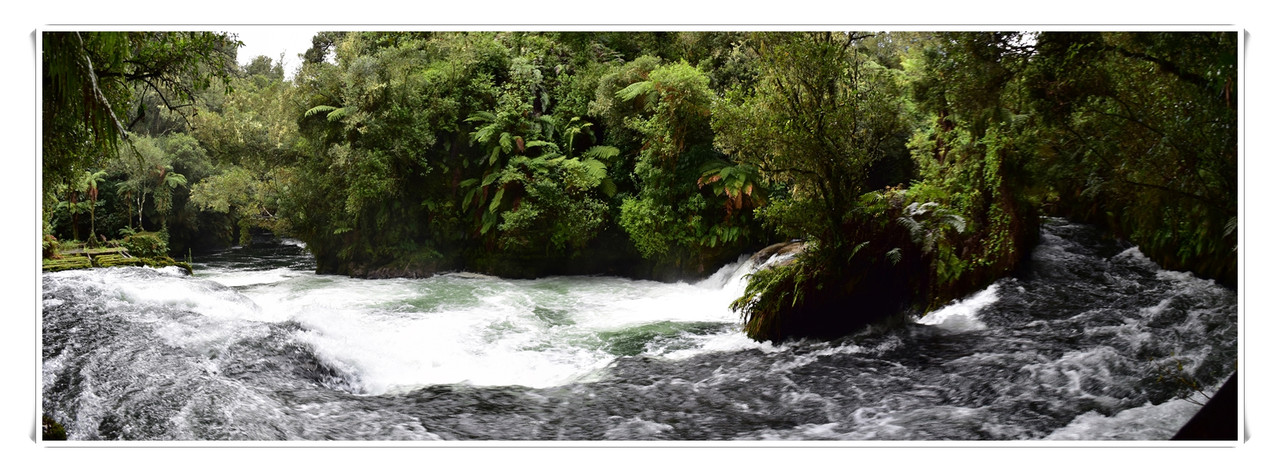 Cosas que hacer en Rotorua - Escapadas y rutas por la Nueva Zelanda menos conocida (26)