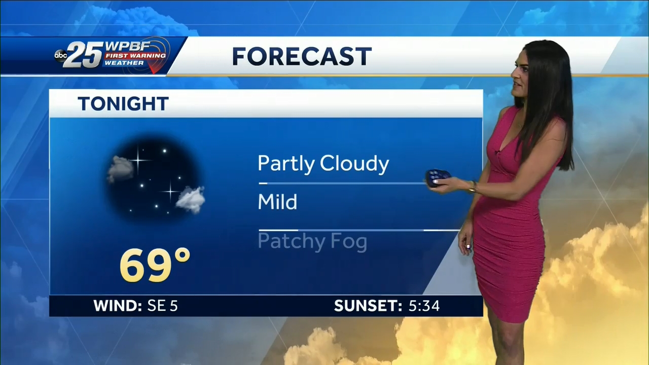 12.23 - 14.00.00 - WPBF 25 News at 9 00 AM..ts_snapshot_00.54.27.692