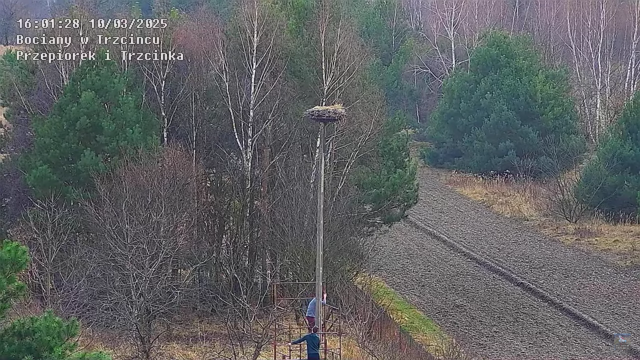 10032025rusztowanie1