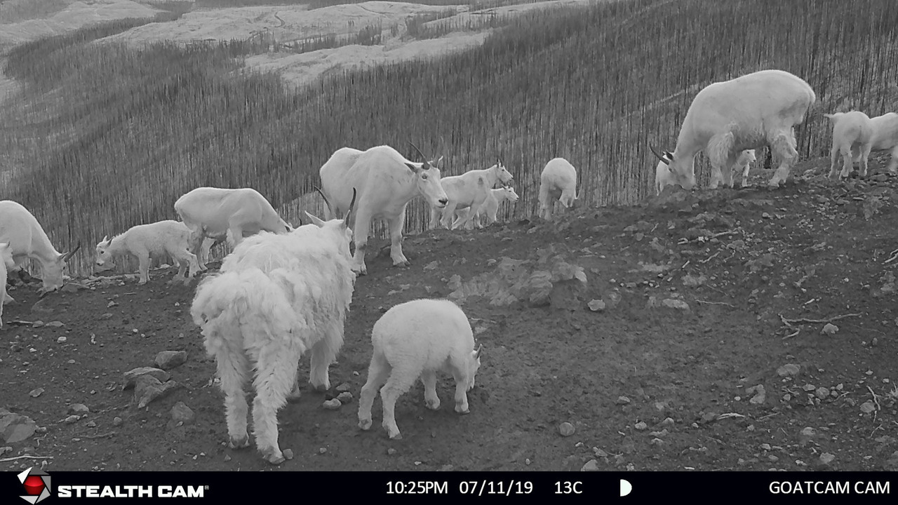 50E9E9A2-B4F5-40F9-B7F1-3B39B4E10998