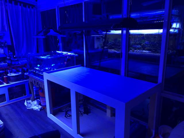 01B22E99-8B82-4479-9F22-854CD73C4946