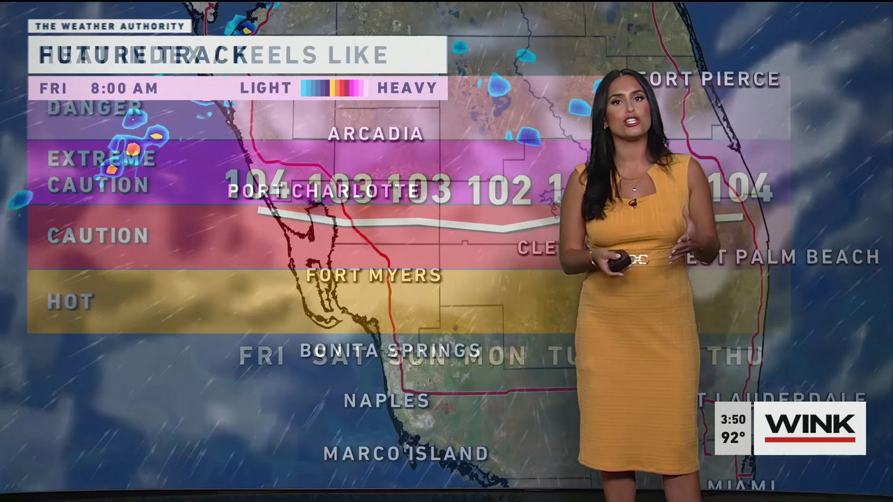 06.15 - 20.00.00 - WINK News at 3pm..ts_snapshot_00.53.08.636