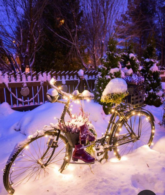 Screenshot_20231019_210346_Pinterest