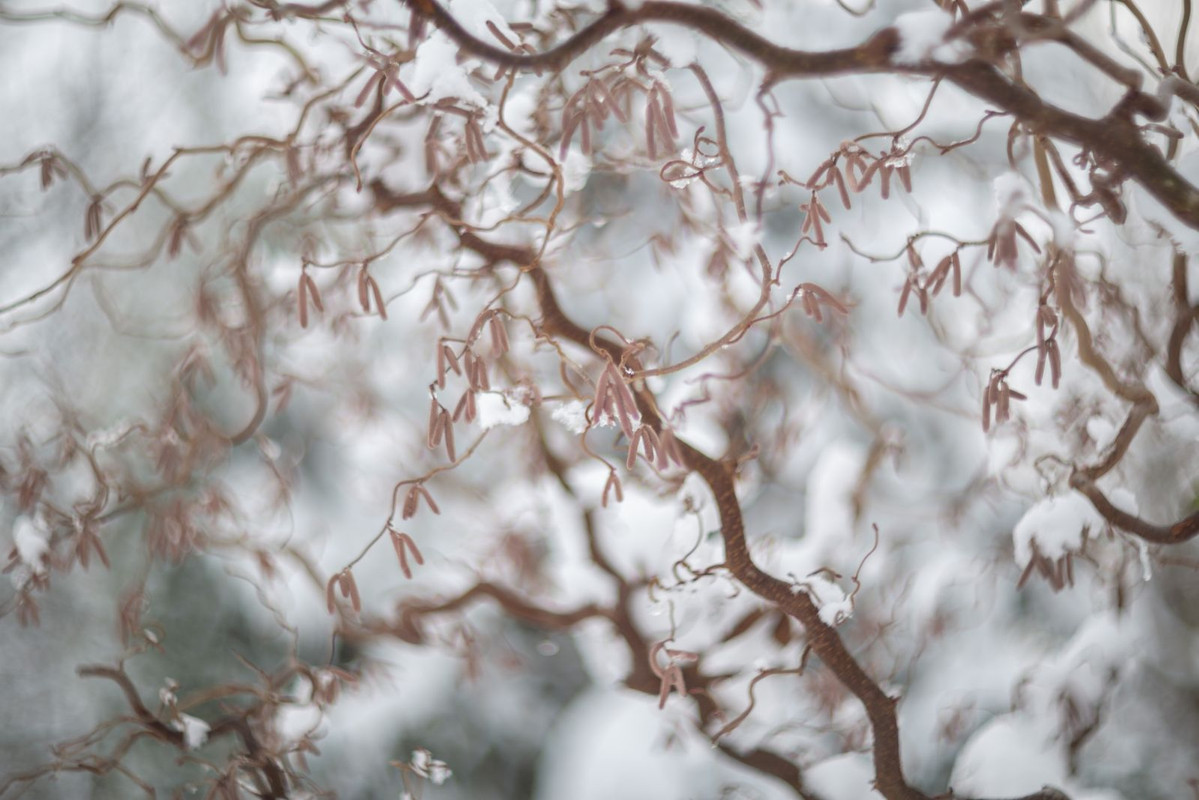 IMG-8b7bf1646eb9c526a84d352eb685a3bc-V