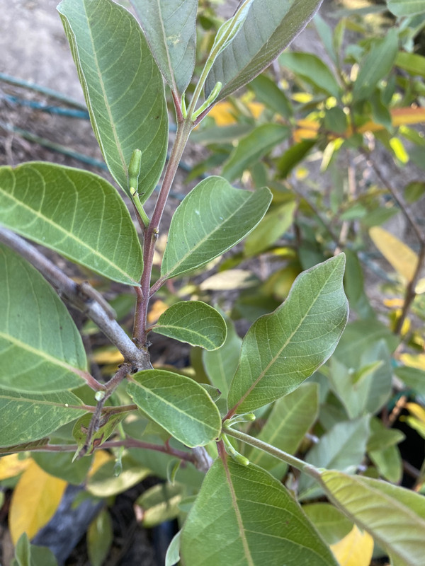 F4F232D7-C12D-4EC2-B39B-FBADFFBFF732