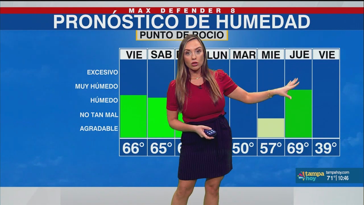Noticias Tampa Hoy_20250214_03300400.ts_snapshot_17.04.911
