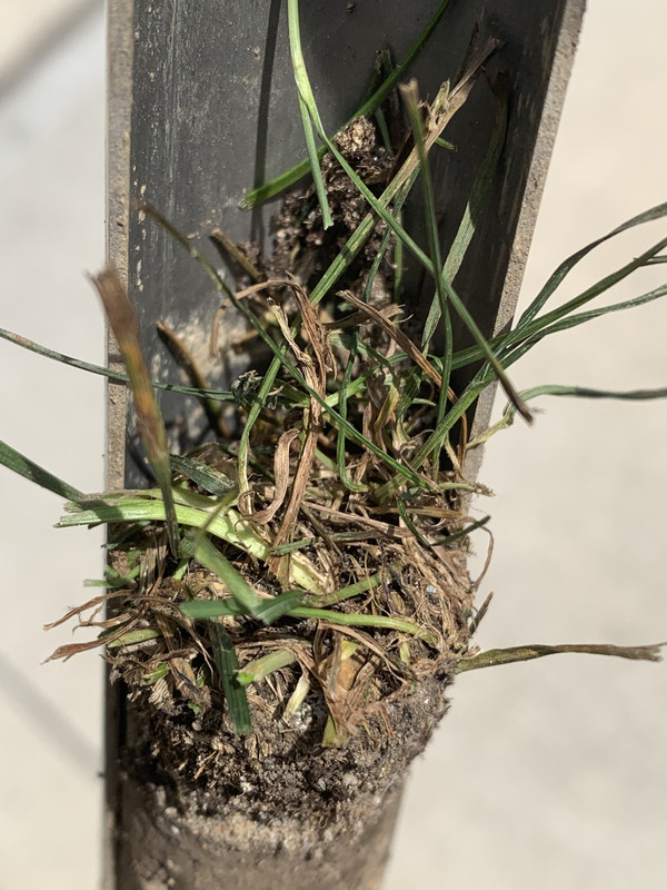 E8A90C17-D186-40E0-B76E-4C71D8DAF395