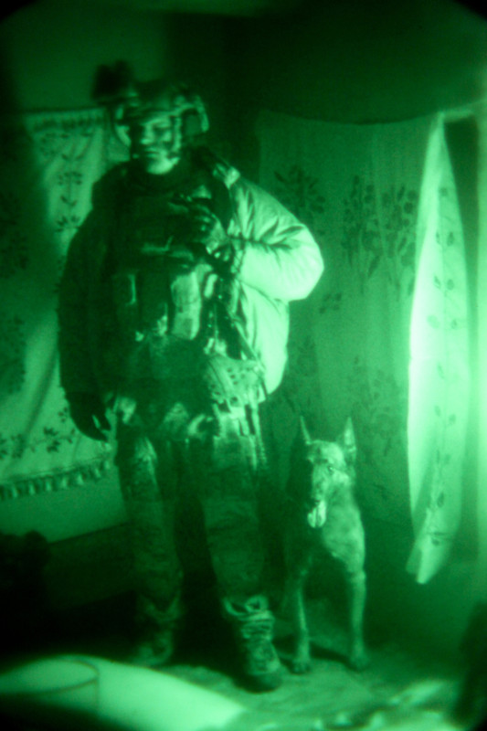 K9 coalition security force