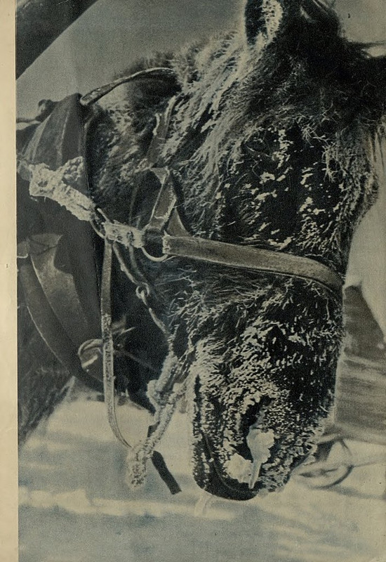 Na_stroyke_MTS_i_sovkhozov_1935__3_page-0003