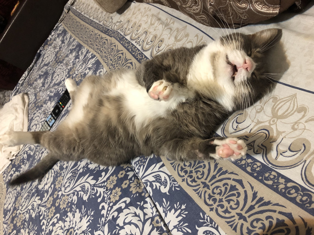 E5691CAB-B1B9-49F2-8492-71191655B787