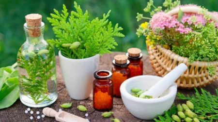 Homoeopathy Royal Medicine For Asthma