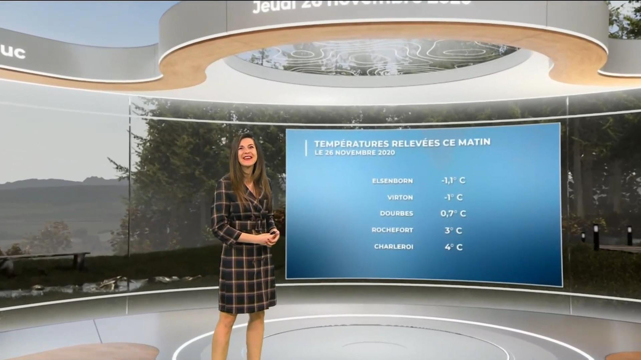 Daniela Prepeliuc 261120.mp4_snapshot_00.13_[2020.11.26_17.16.41]