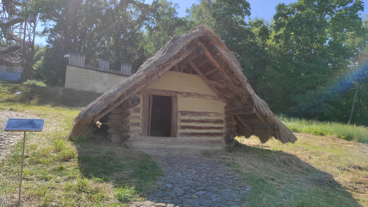 05.32 - IMG_20220617_161423 (Czesio1)