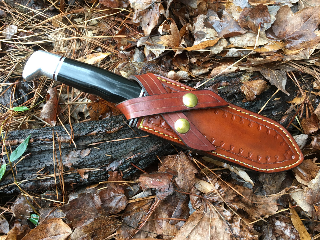 Buck-119-in-Makael-built-sheath.jpg