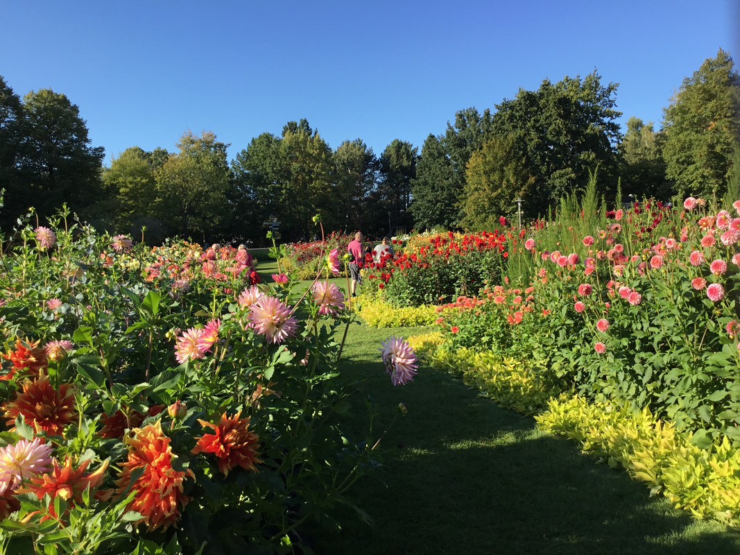 FF4FD345-39F6-4FC6-9EAC-7B36D706E216