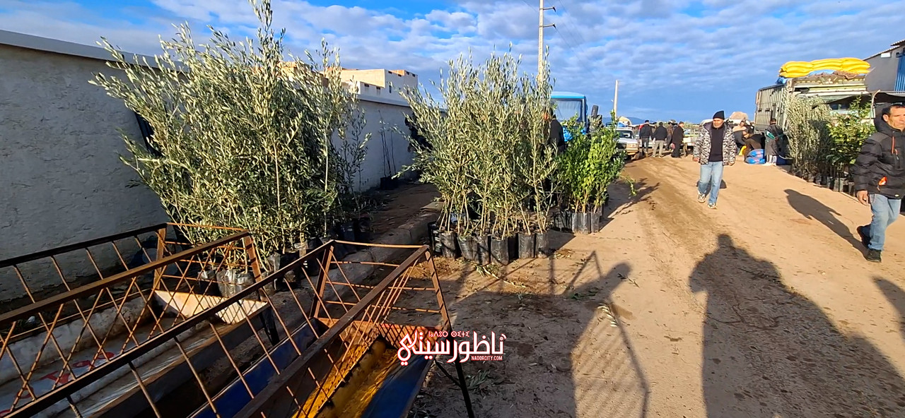 Sequence-02-00-00-35-00-Still005