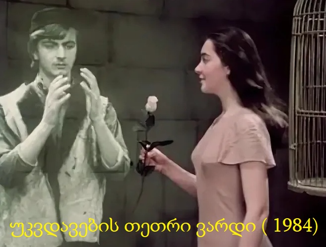 უკვდავების თეთრი ვარდი (1984)